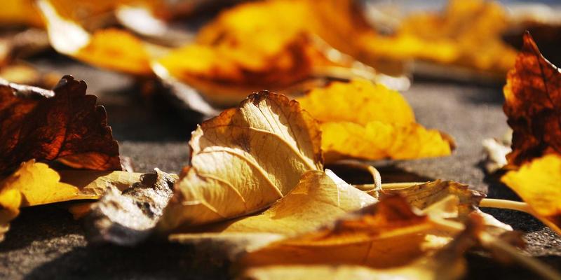 WSXDHL11：以陆运与仓储为核心，打造高效可靠的现代快递服务新范式