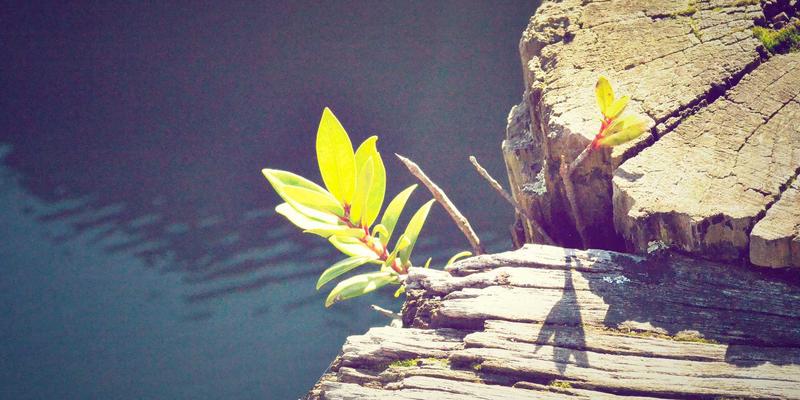 WSXDHL31：国际货运与智能仓储融合的新范式