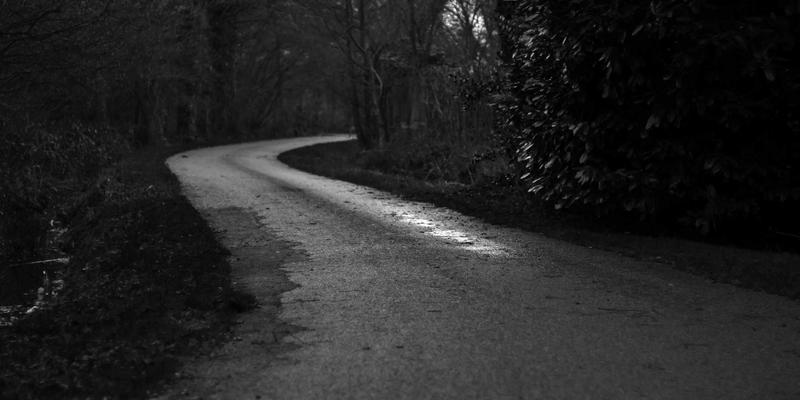 WSXDHL38全球物流解决方案：海运、空运与快递服务的协同优势