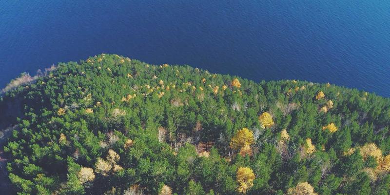 WSXDHL3：解码现代供应链的海陆协同新范式