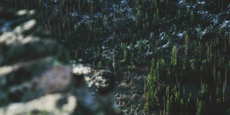 WSXDHL65：引领高效空运新纪元的快递服务解决方案