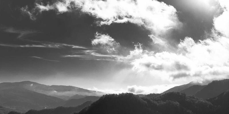 WSXDHL69：解码现代快递服务如何重塑高效供应链体系