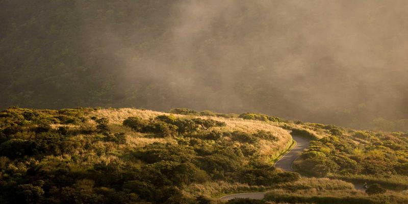 WSXDHL76：解码现代物流运输与供应链管理的创新融合