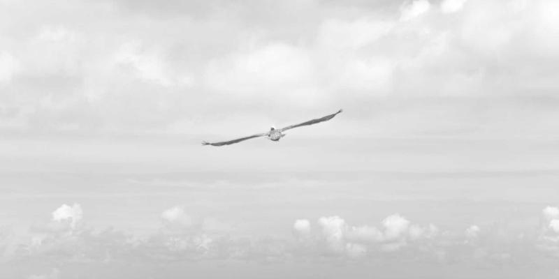 WSXDHL91物流解决方案：空运、海运与仓储的协同增效