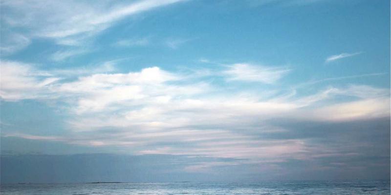 WSXDHL94：解析海运与空运的协同策略，优化国际物流方案