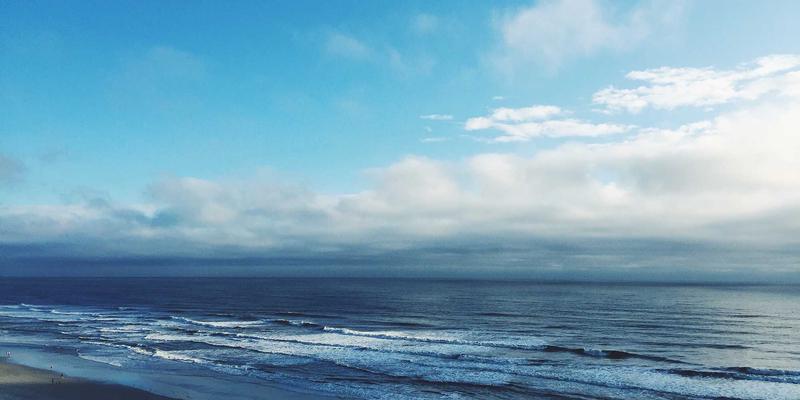 WSXDHL：以创新供应链解决方案重塑全球物流新格局