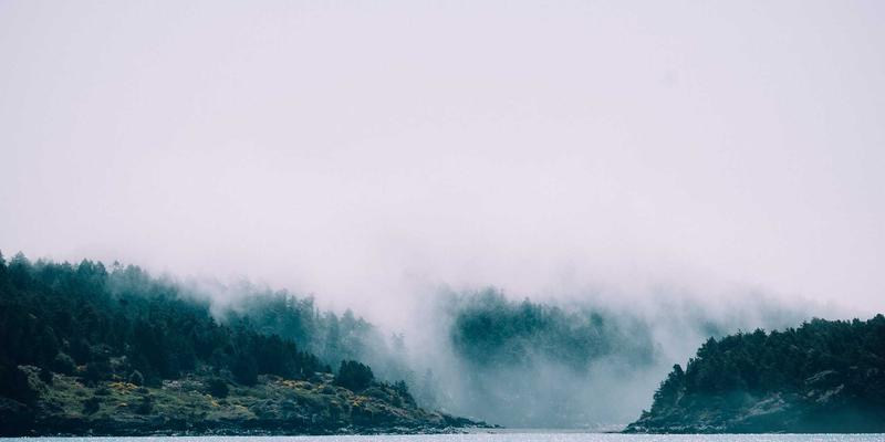 WSXDHL入门指南：掌握空运与国际货运供应链的核心要点