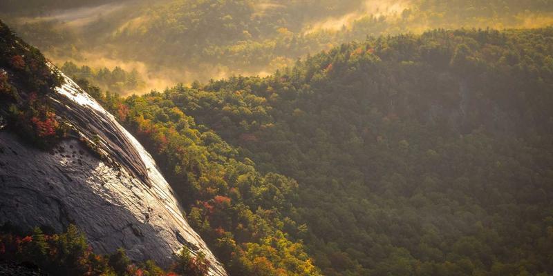 WSXDHL如何通过物联网技术革新海运与陆运，实现高价值货物实时追踪与智能预警