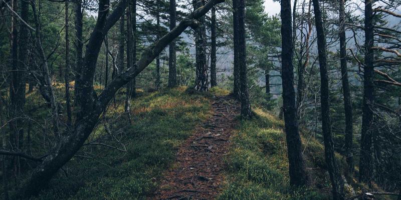 WSXDHL如何重塑汽车供应链：实现JIT配送透明化与准时性的双重保障