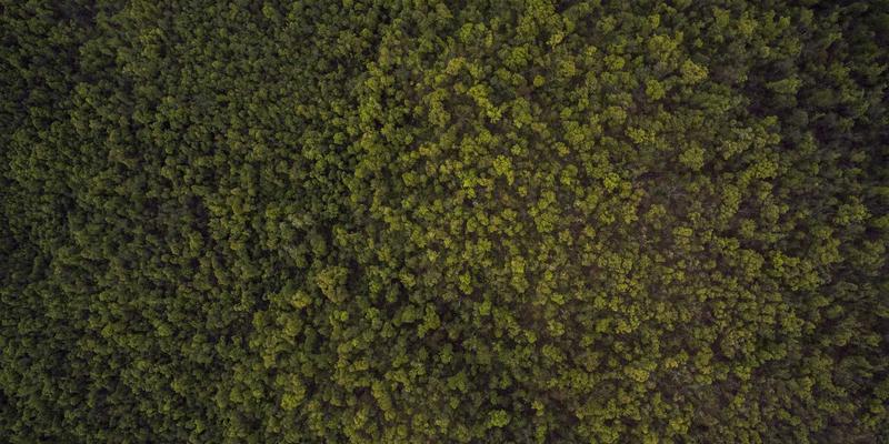 WSXDHL客户定制化KPI仪表板：量化与改进海运、陆运及快递冷链服务质量的关键