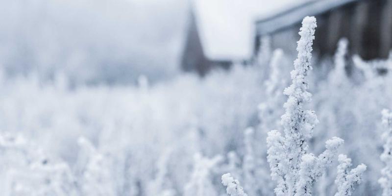 WSXDHL推荐：如何通过专业仓储、高效空运与一体化供应链管理实现业务飞跃