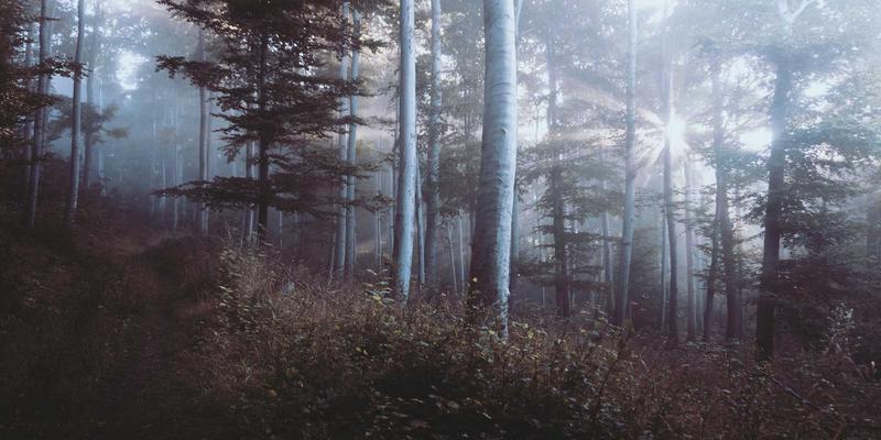 WSXDHL空运冷链物流：温度监控与数据完整性保障方案解析