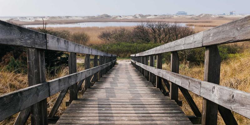 WSXDHL端到端供应链可视化：如何通过实时数据集成优化仓储与海运效率