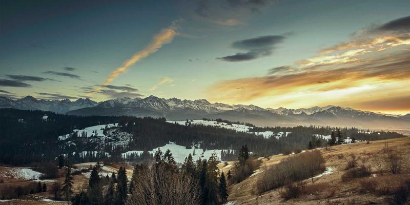 WSXDHL端到端可视化方案：如何通过供应链与空运物流革新实现药品全程状态透明化