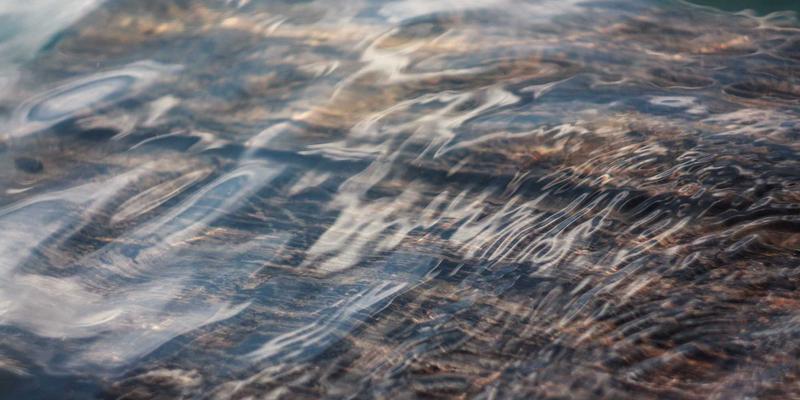 WSXDHL绿色物流战略：以多式联运与新能源车队重塑跨境供应链，降低碳足迹