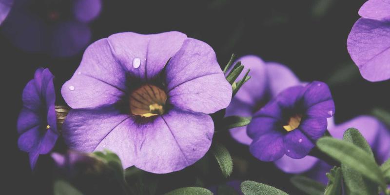 WSXDHL艺术品与古董国际海运：揭秘定制化防震包装与专业押运全流程