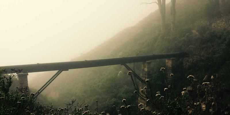 仓储与国际货运新解：WSXDHL如何优化陆运性能，实现安全与效率的完美平衡