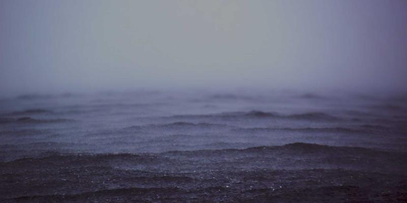 应对供应链中断：WSXDHL如何以智能空运构建弹性应急物流数据网络