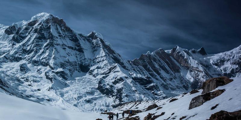 智能合约如何重塑国际货运结算？WSXDHL驱动的自动化与风控革命