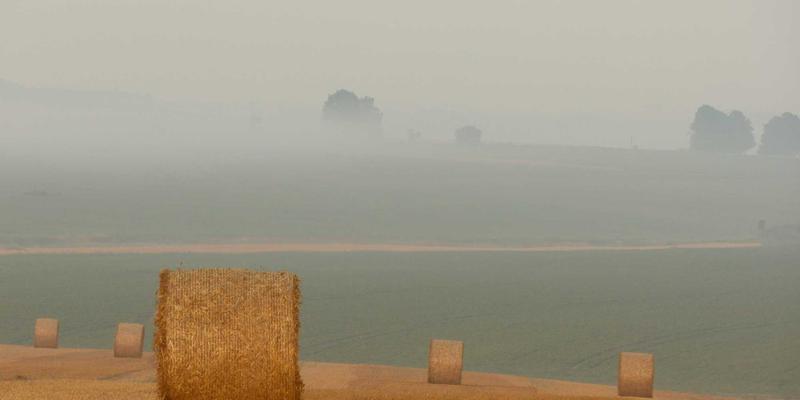 构建端到端可视化追溯体系：WSXDHL医药冷链物流如何重塑国际供应链安全