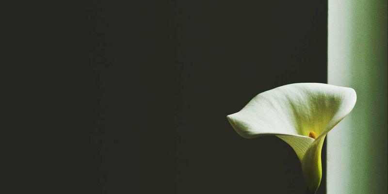 海运与国际货运新解：WSXDHL城市冷链共同配送网络如何破解最后一公里高成本与时效难题