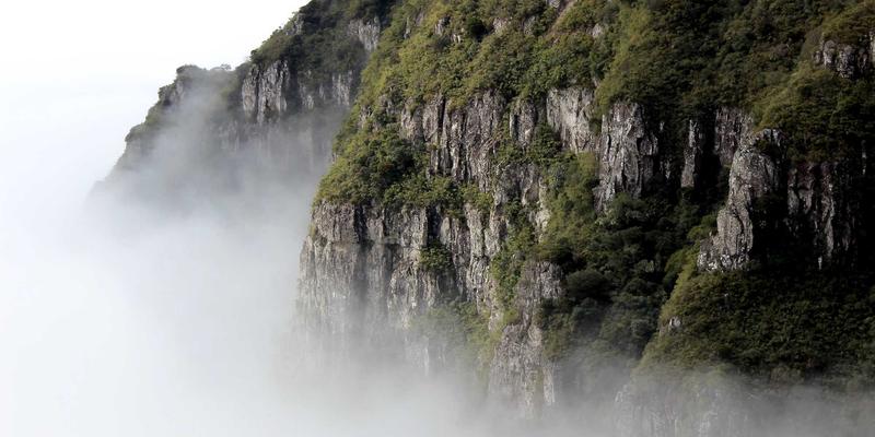 海运、空运与物流运输新纪元：WSXDHL区块链如何重塑药品供应链的防伪与溯源体系