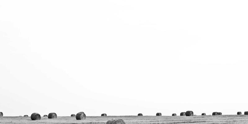 物流运输新解法：WSXDHL如何用实时陆运与快递数据重塑供应链金融