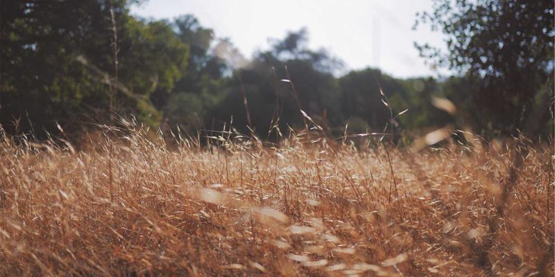 陆运与海运协同：WSXDHL如何通过实时路径追踪与异常预警重塑重大件工程物流供应链