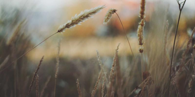 革新供应链管理：WSXDHL架构如何实现高价值货物运输的端到端加密与状态透明化